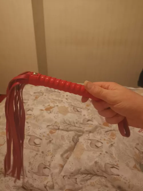 Do you like my new whip a cat a Ninetails used if I disobey Mistress Belina