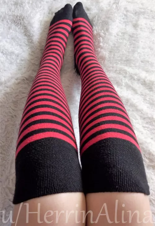 do you like my socks? β¨