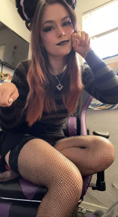 Do you think Iβm a good kitty or a bad kitty?