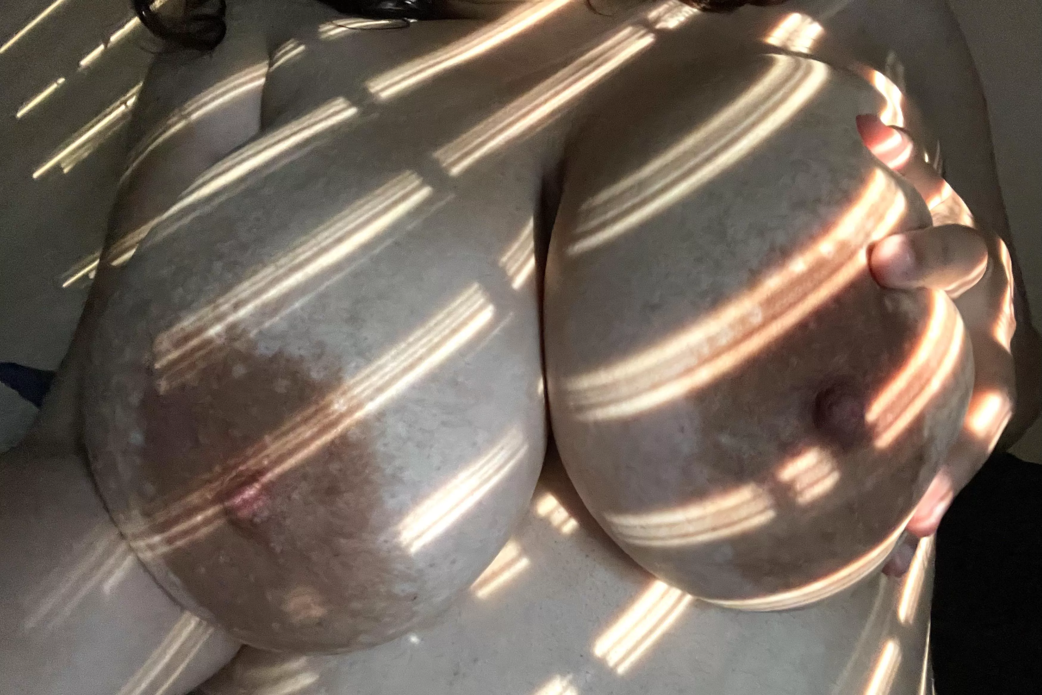 do you think the light makes them look pretty? 🥺 (f20)