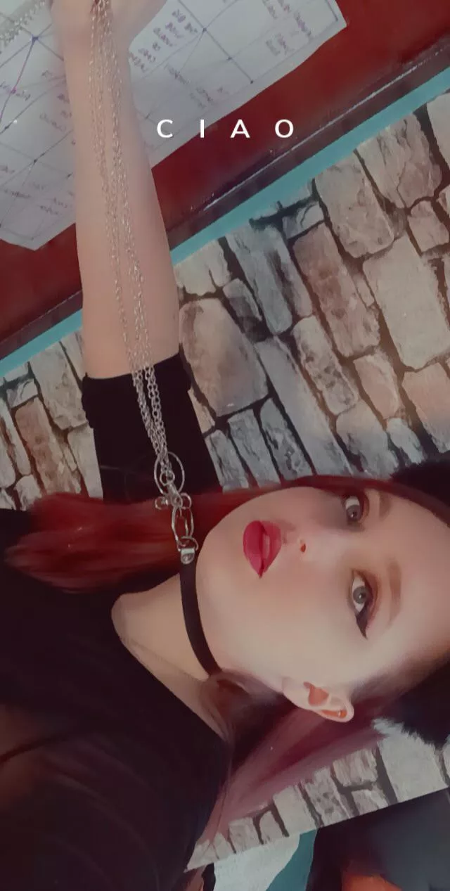 Does this puppy deserve a treat? 😇