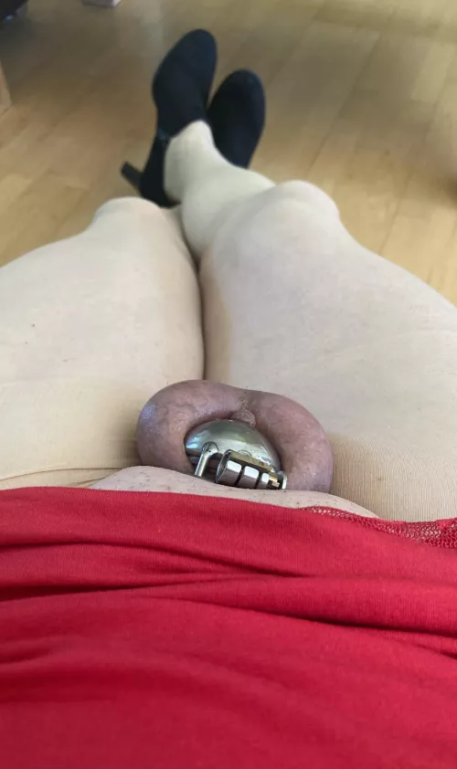 Dressed and caged at Sunday