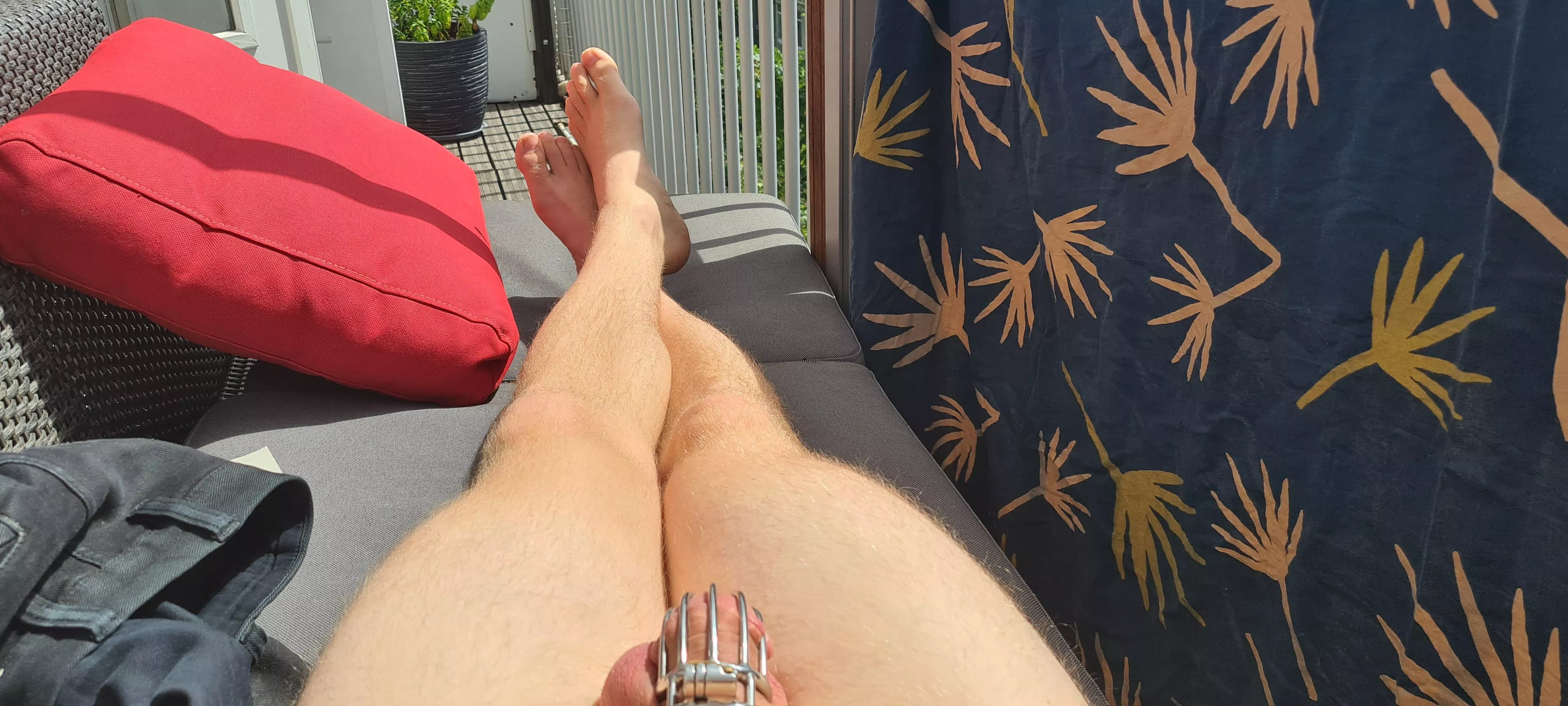 Enjoying the sun with only the cage on Enjoying the sun with only the cage on