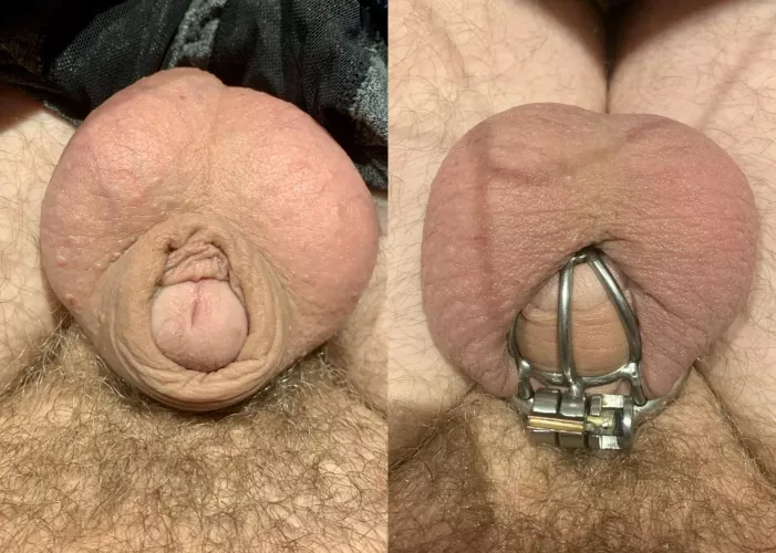 Even when I’m uncaged it knows to not get hard