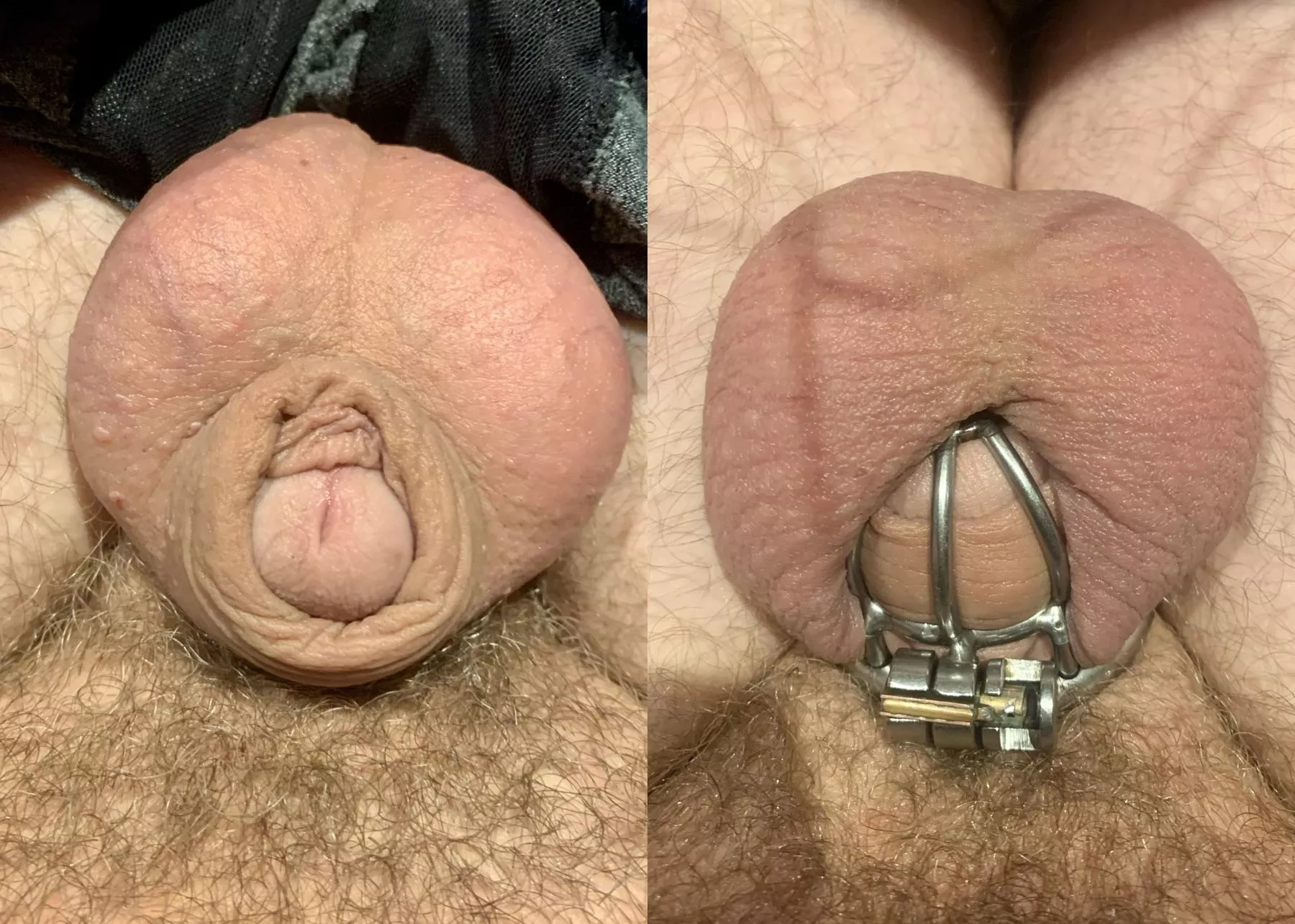 Even when I’m uncaged it knows to not get hard