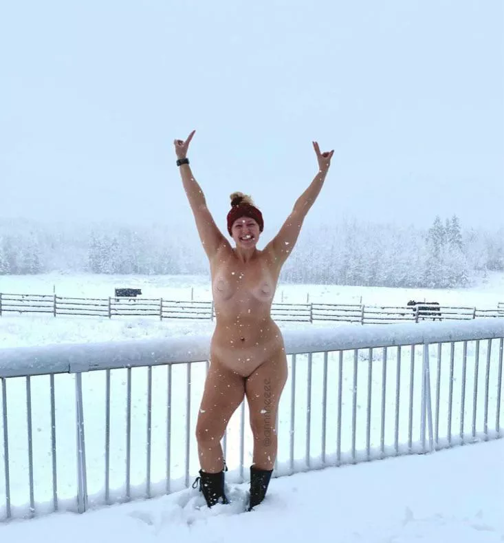 [f] I spy 3 cows 🐄