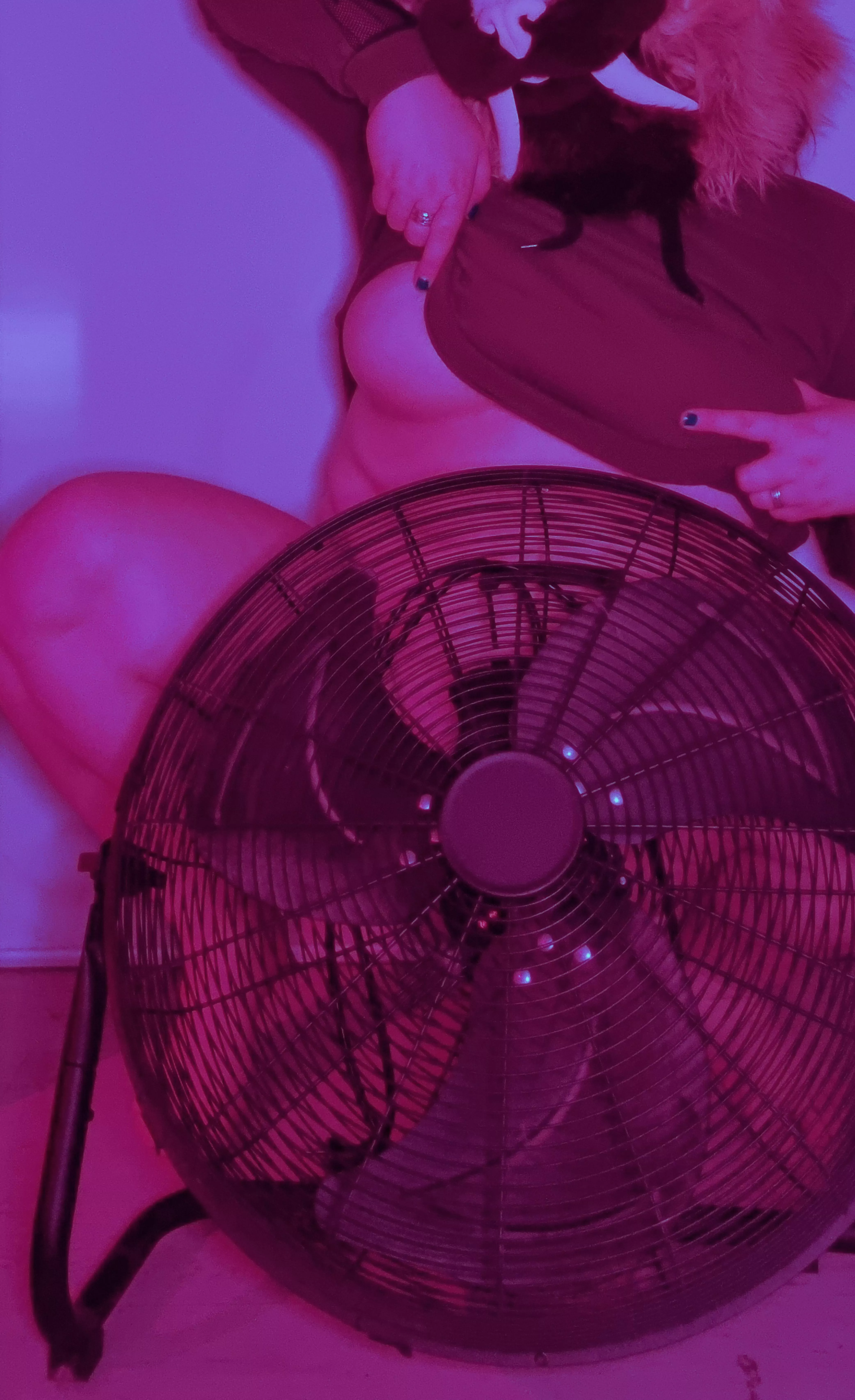 [F] I want to have FAN with You! Wait... FUN* !!! OR....? :D