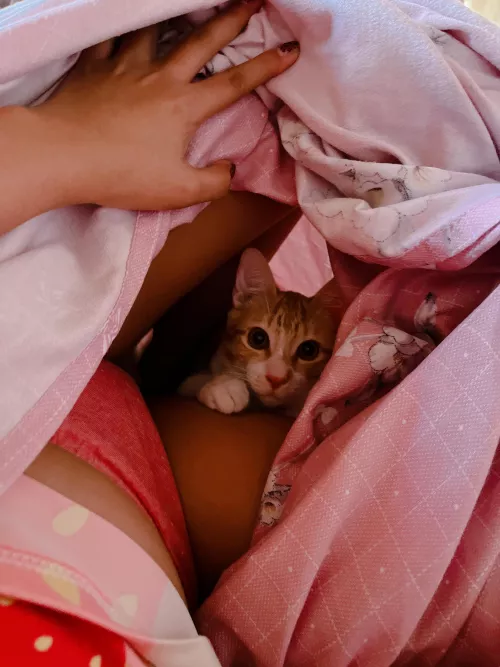 [F] So I heard you like pussy, so I put pussy on my pussy. (Woke up to this actually… wanna replace kitty?)