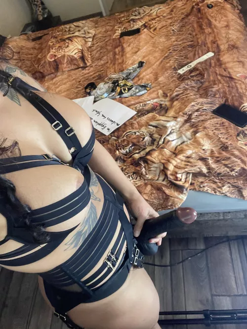 Feeling frisky… ready to be my little boy toy?