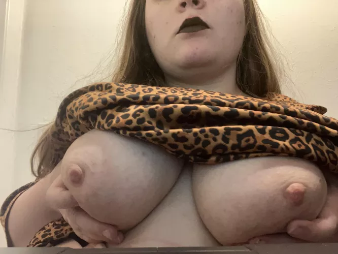 Feeling wild this titty Tuesday 🧁🧁