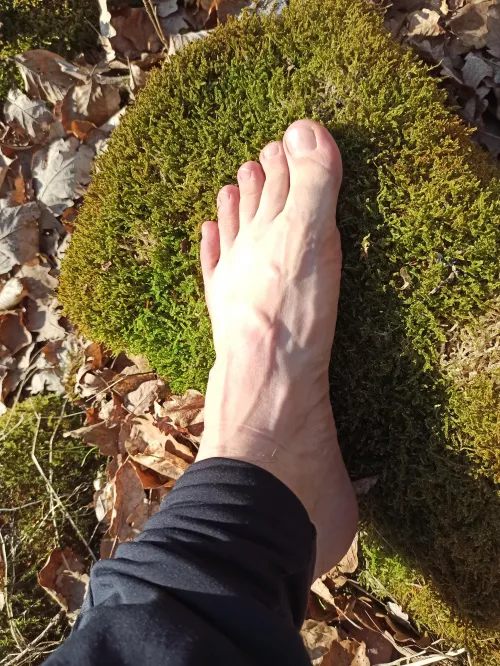 Feels so good after a long walk. 🌲🦶🏻