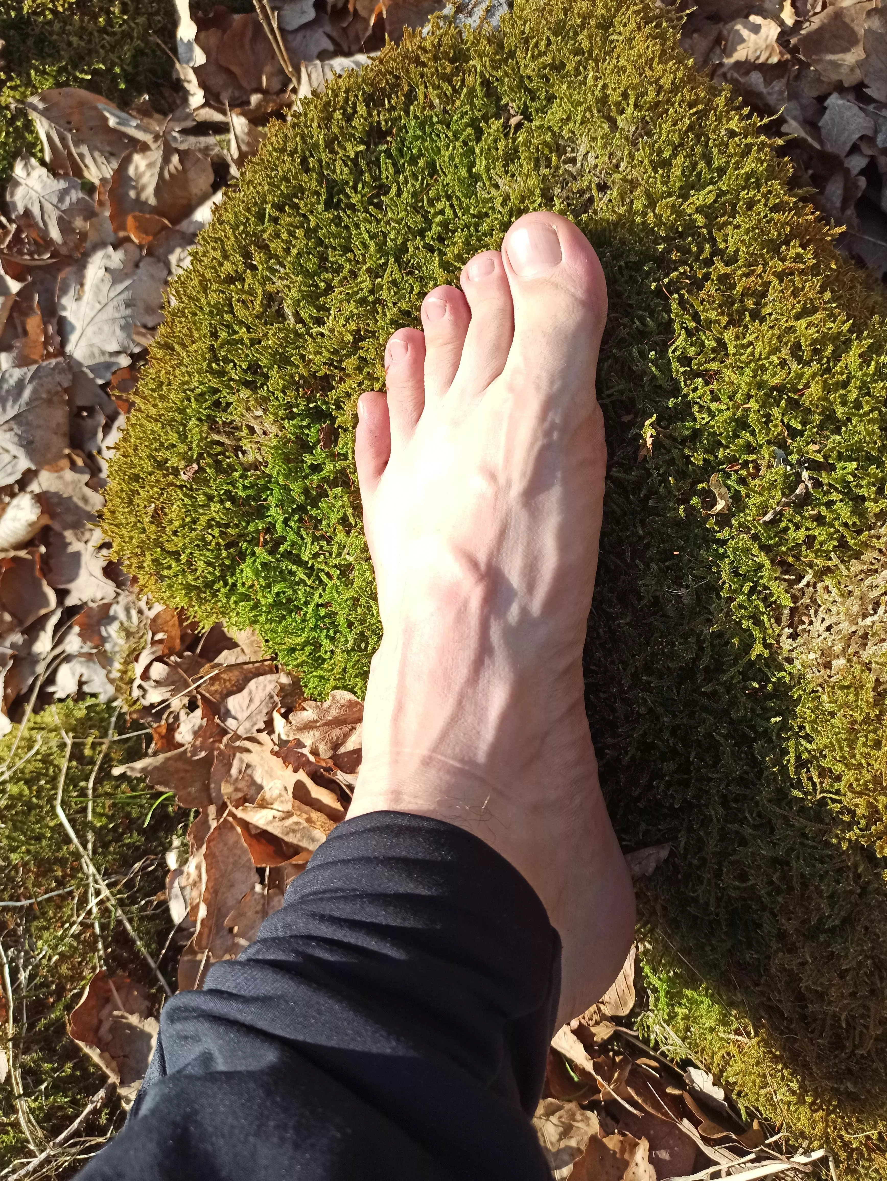 Feels so good after a long walk. 🌲🦶🏻