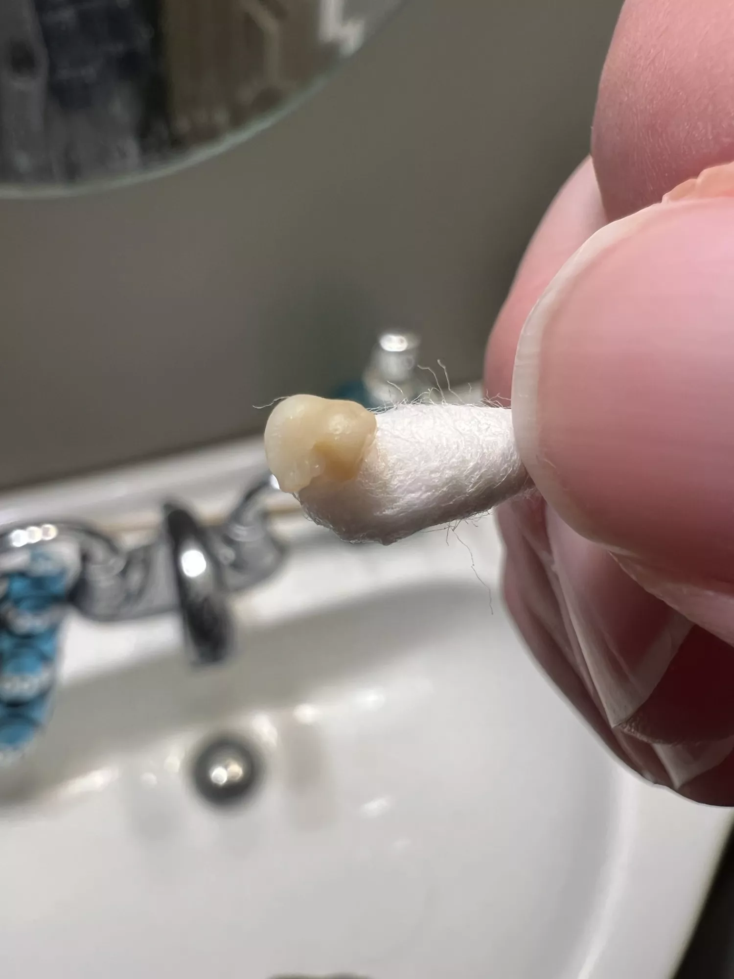 Felt a tickle in the back of my throat. Poked around a little and got this sucker out. Felt a tickle in the back of my throat. Poked around a little and got this sucker out.
