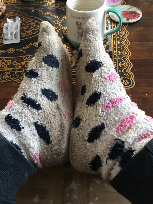 [female] My god the smell on these and there so wet and sweaty 😈