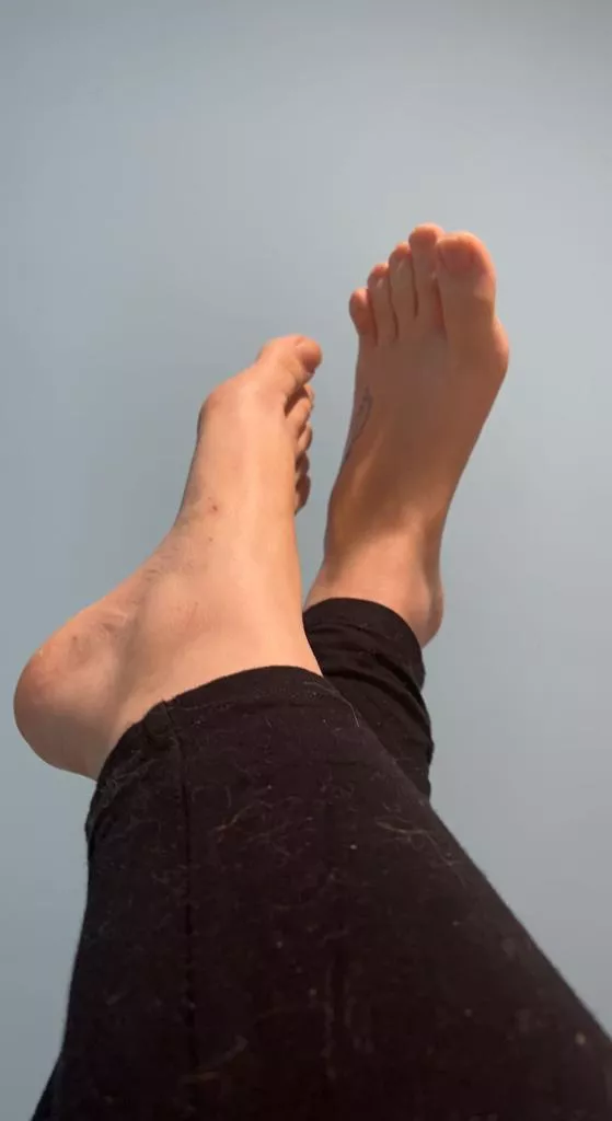 First pic picture ever, I always thought they were cute.