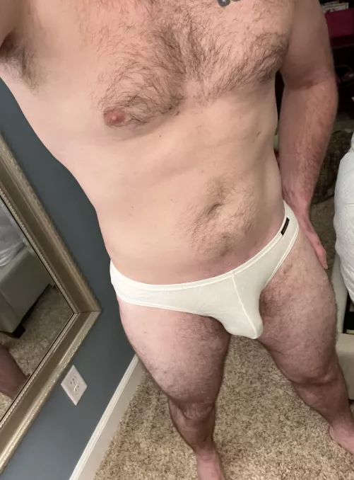 First post here :) My very brief briefs