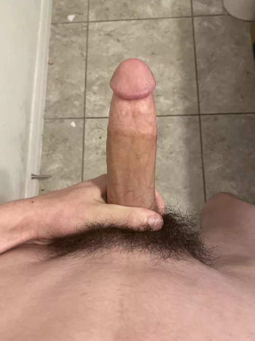 First post. What do you think?