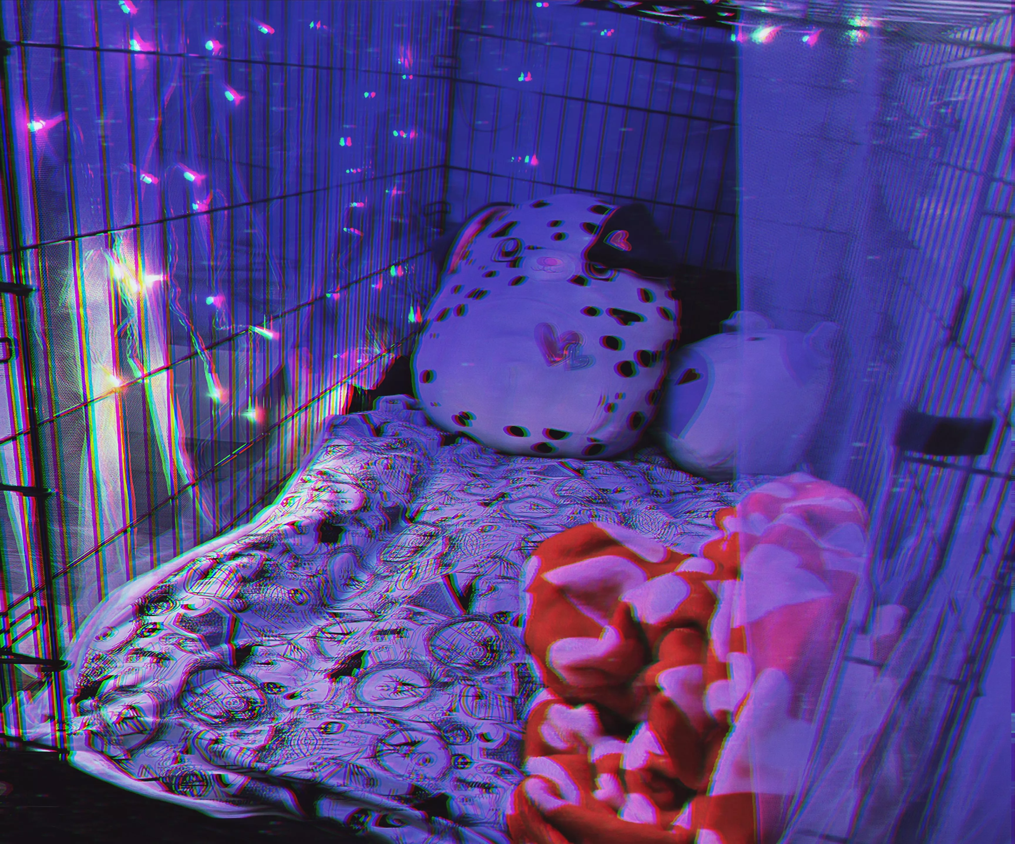 First time posting 🖤🐾 Wanted to show off my new kennel set up!