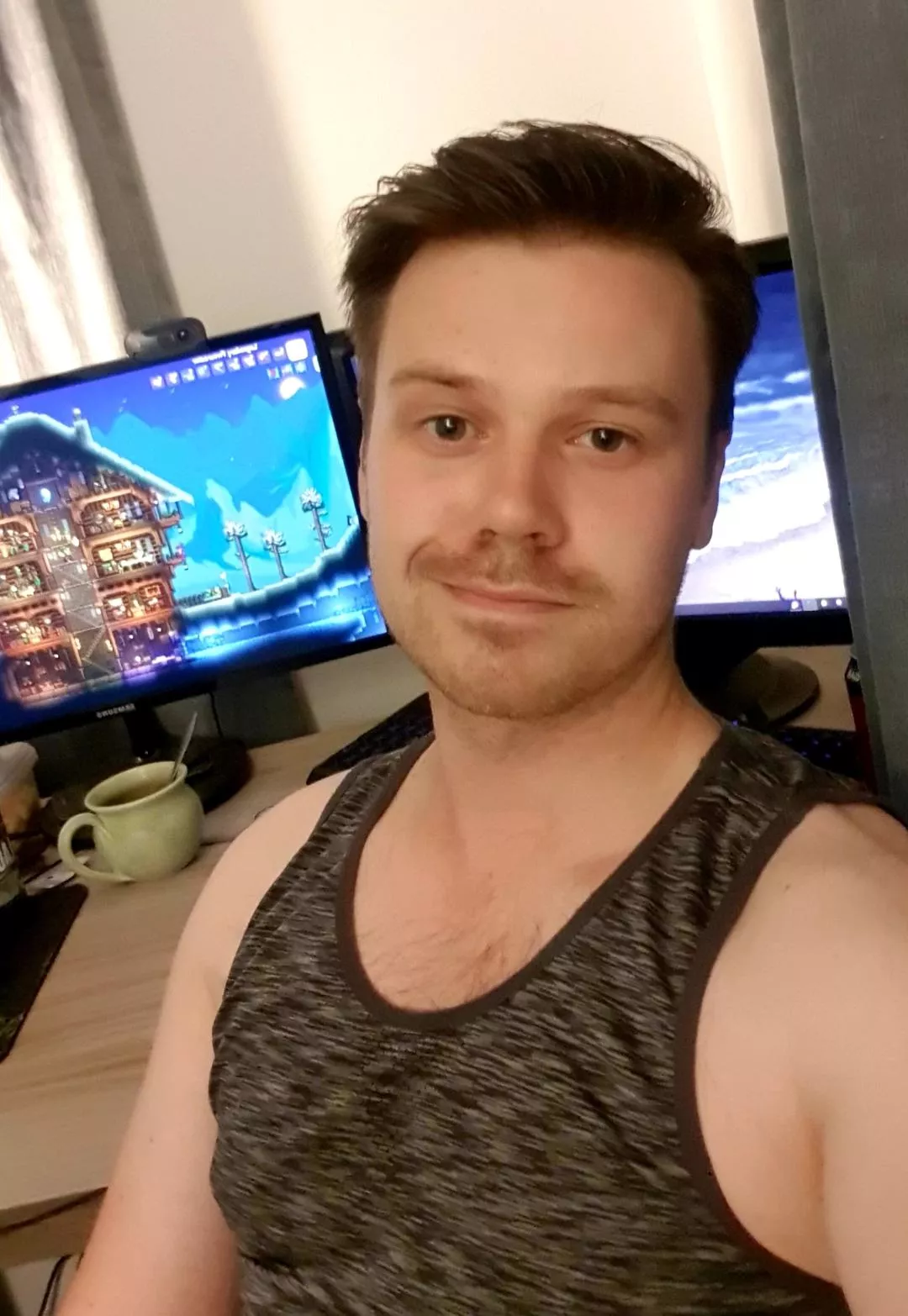 first time really getting into the terraria builds!