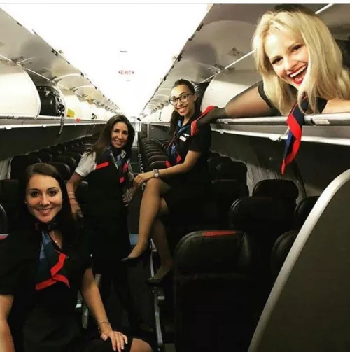 Flying high frolics!