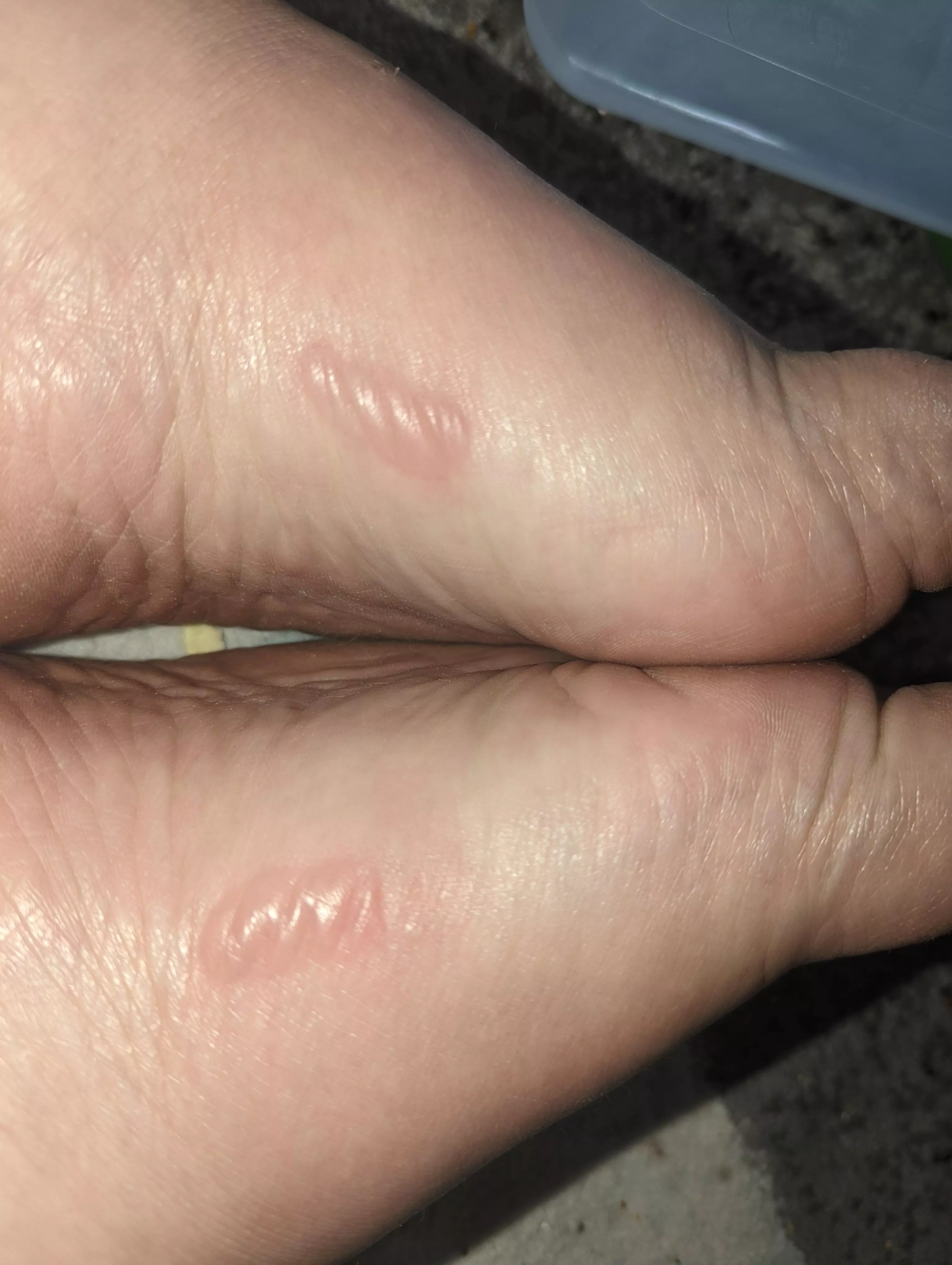 Forbidden Pop from new shoes