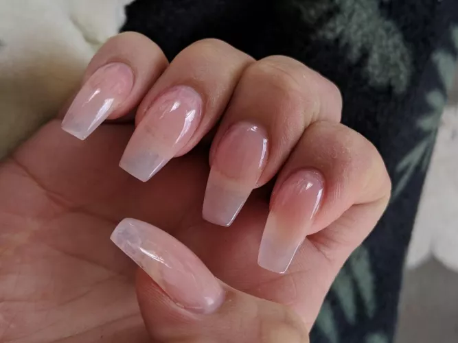 fresh in the morning