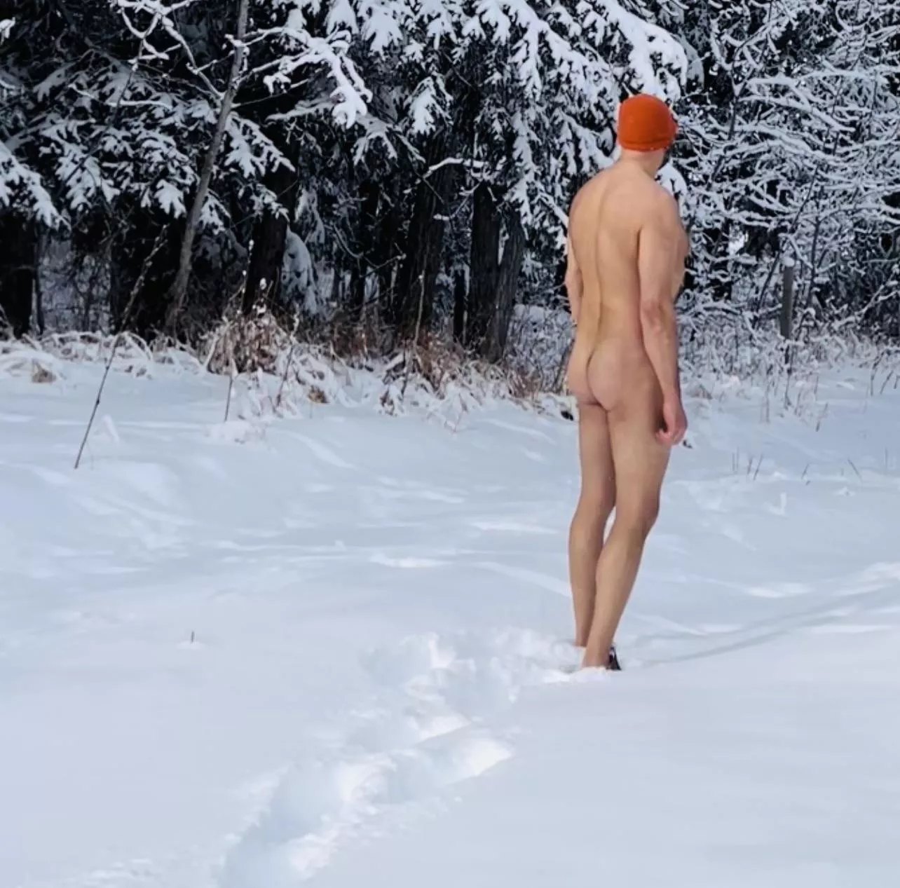 Fresh snowfall - Brrr! Fresh snowfall - Brrr!