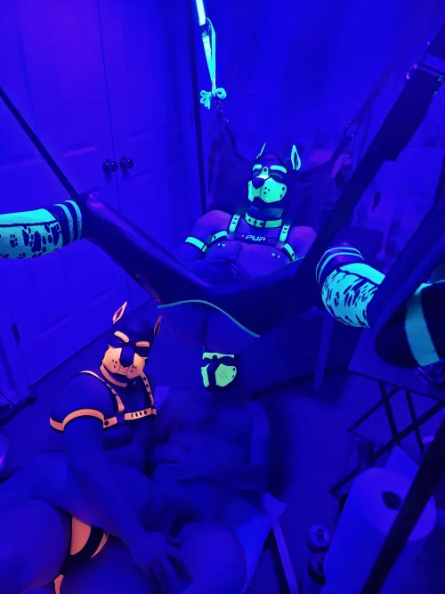 Freshly bred while the pack waits to be fed 😂😂😈💦