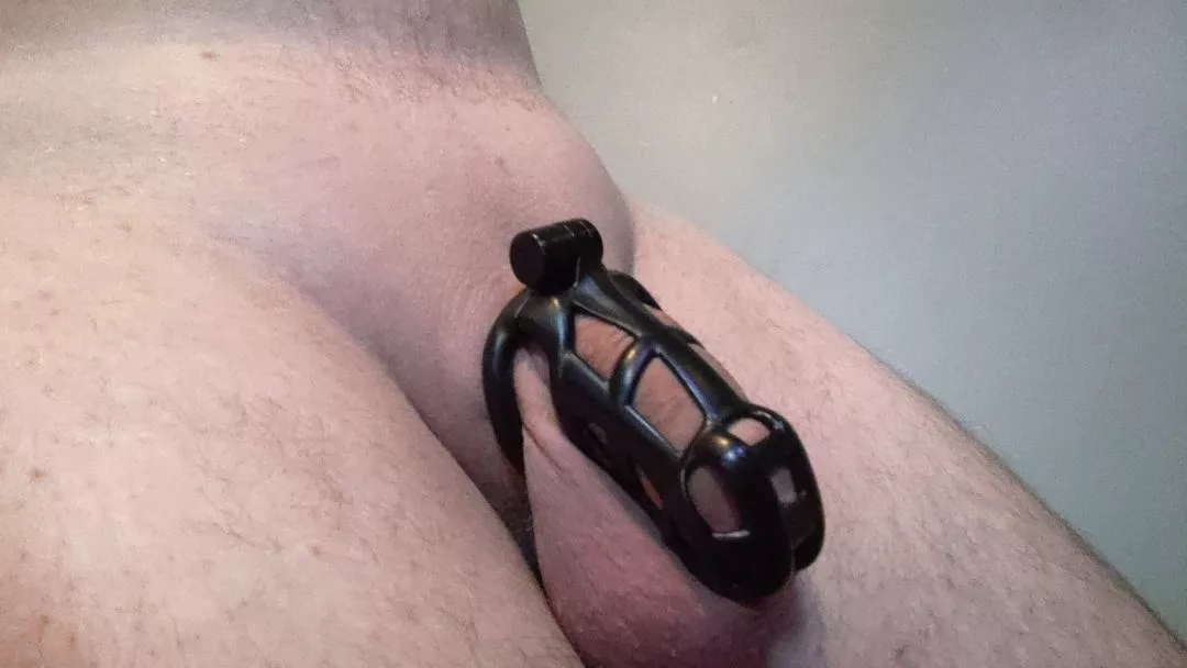 Freshly shaved and locked back up
