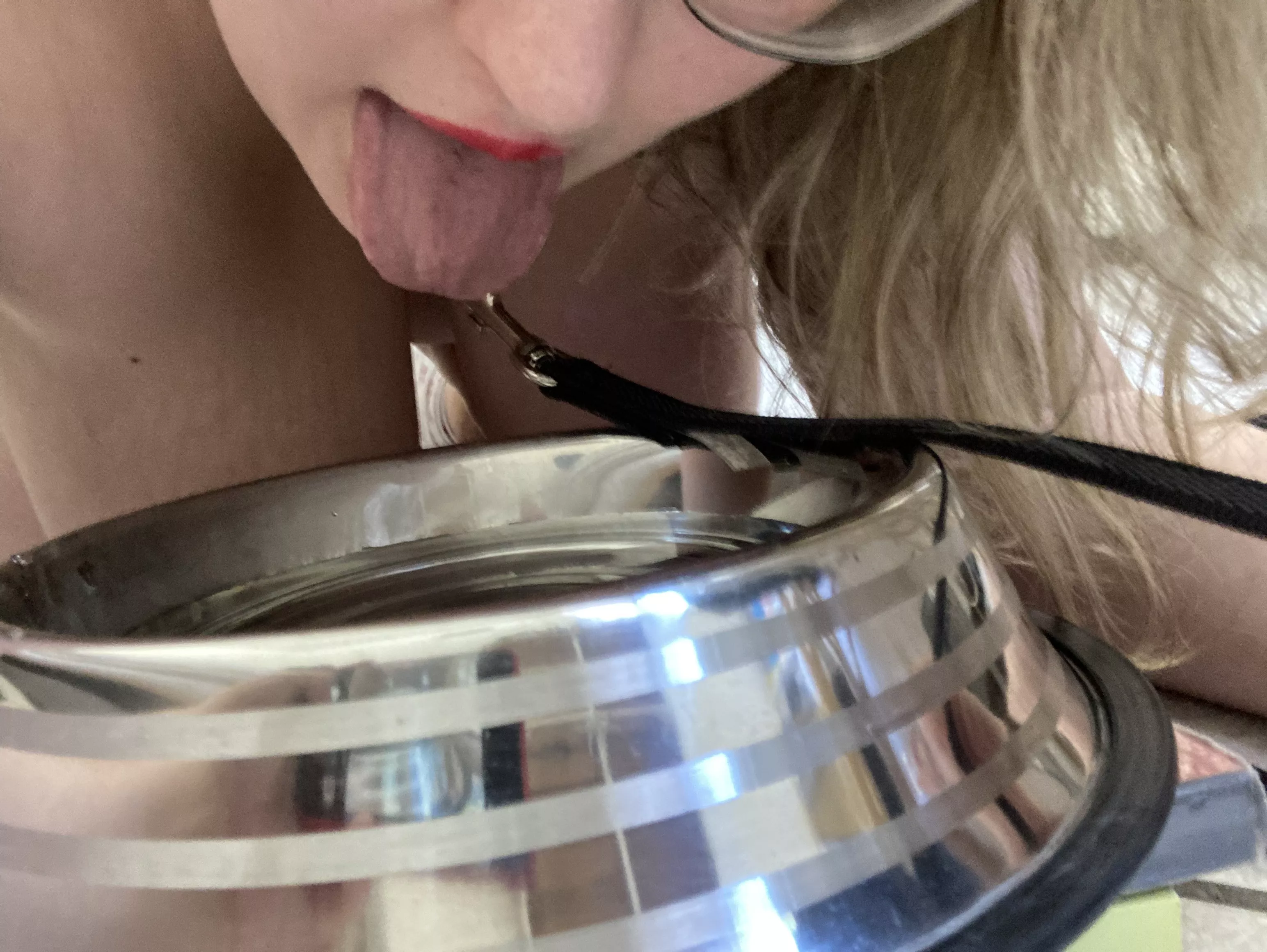 From now on, my Master ordered me to always drink in my dog bowl. Thank you Sir, I am your dog.