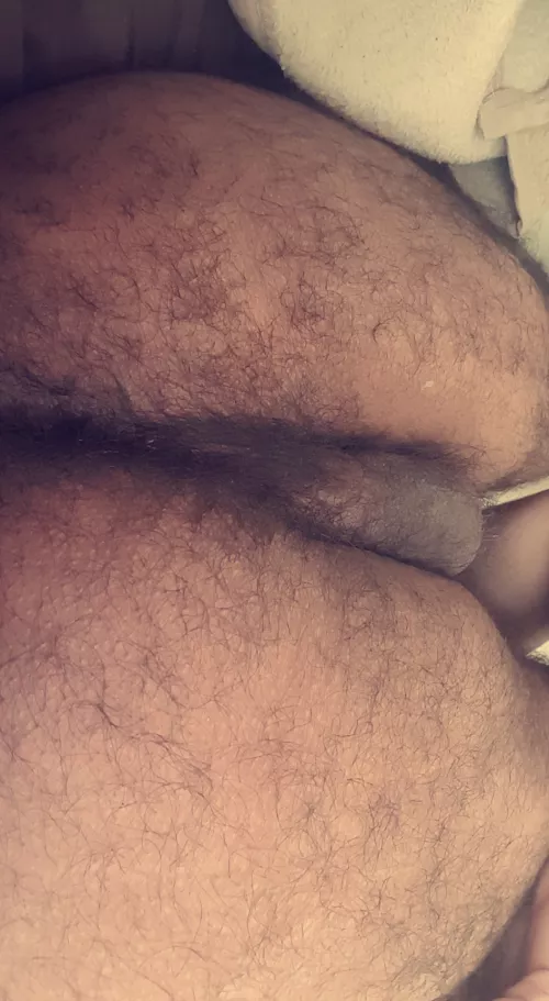 Fuck it. I just want all these hairy cocks in my ass