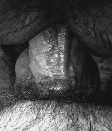 “Furry entry” …