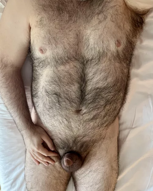 Fuzzy Dad Bod
