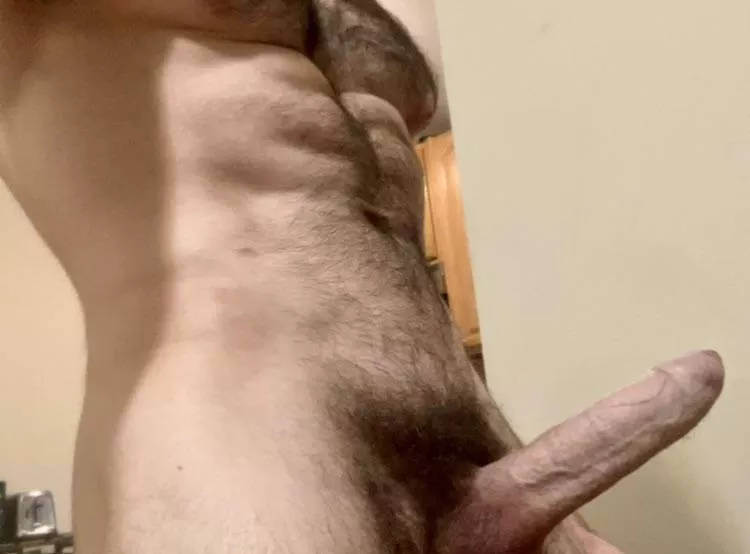 Gave my foliage a slight trim, just enough to give the tree some sun, let me know what you think