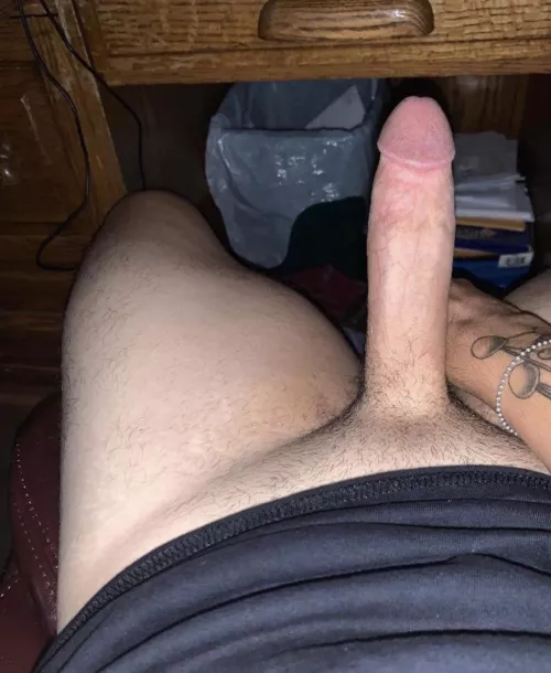 Get under the desk baby