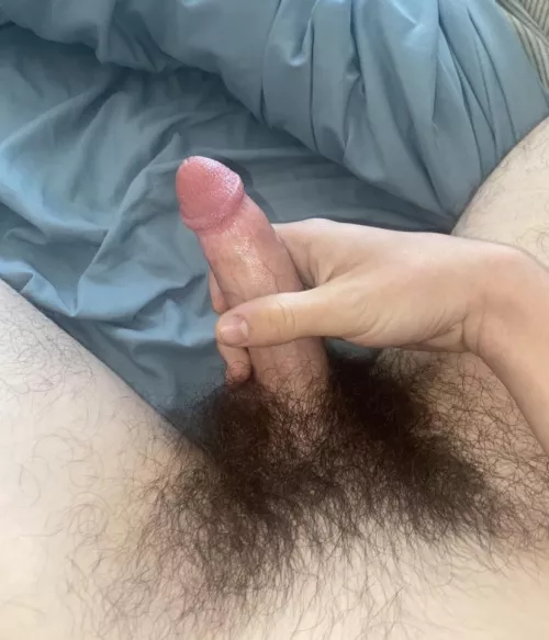 Getting pretty bushy these days