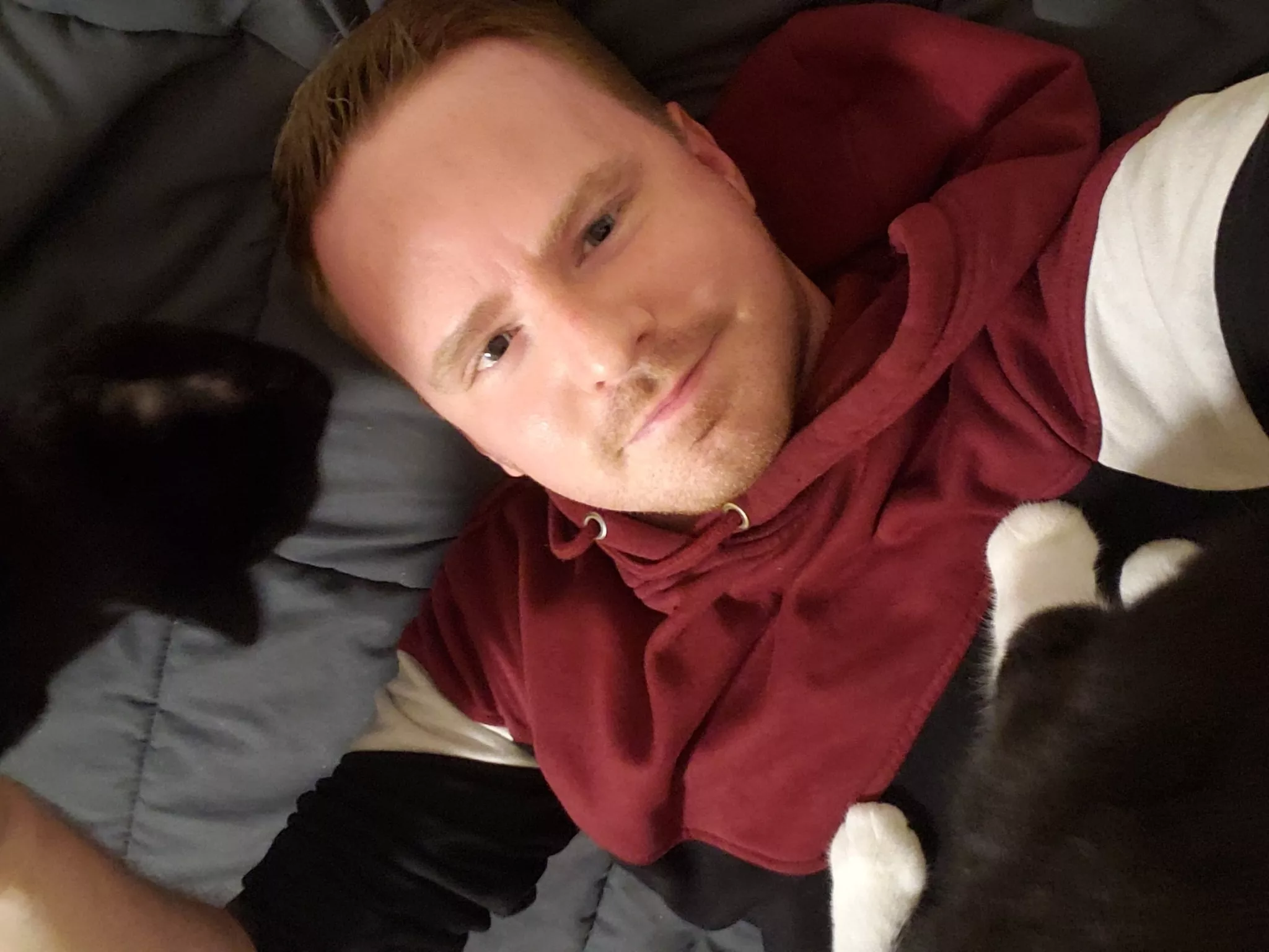 Getting swarmed is the best part of coming home from work