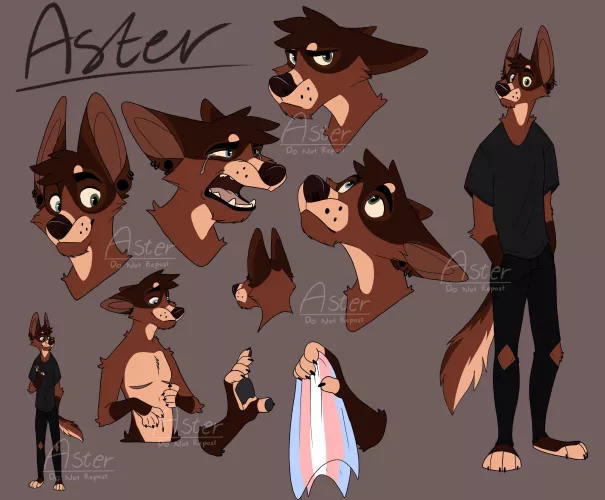 Giant drawing sheet of Aster!!