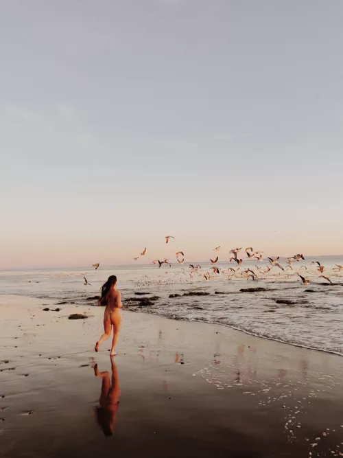 Golden hour at More Mesa