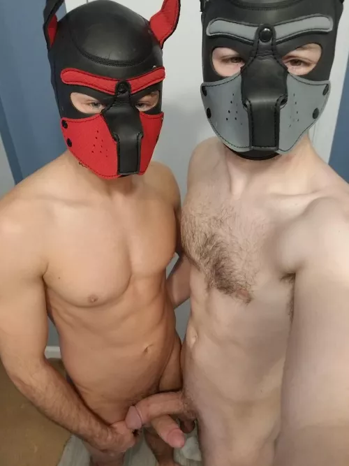 Good morinng boys ˆ