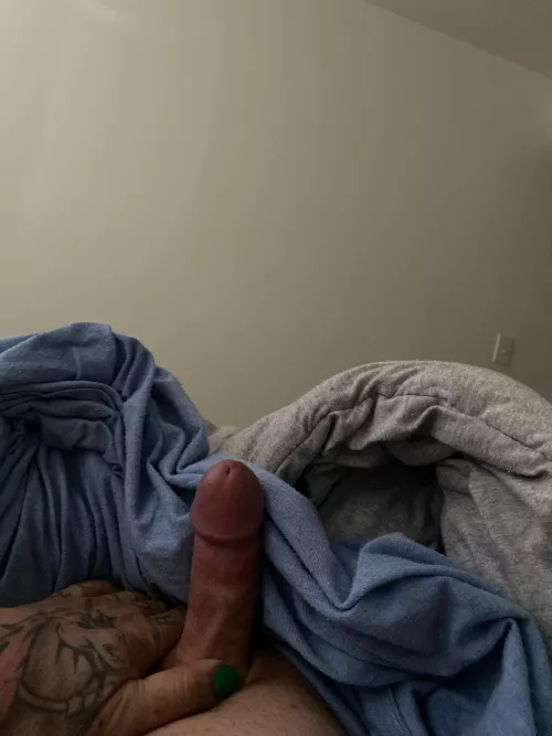 Good [m]orning lovelies