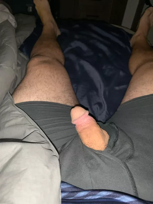 Good morning. My Little guy doesn’t like to be confined. (46)