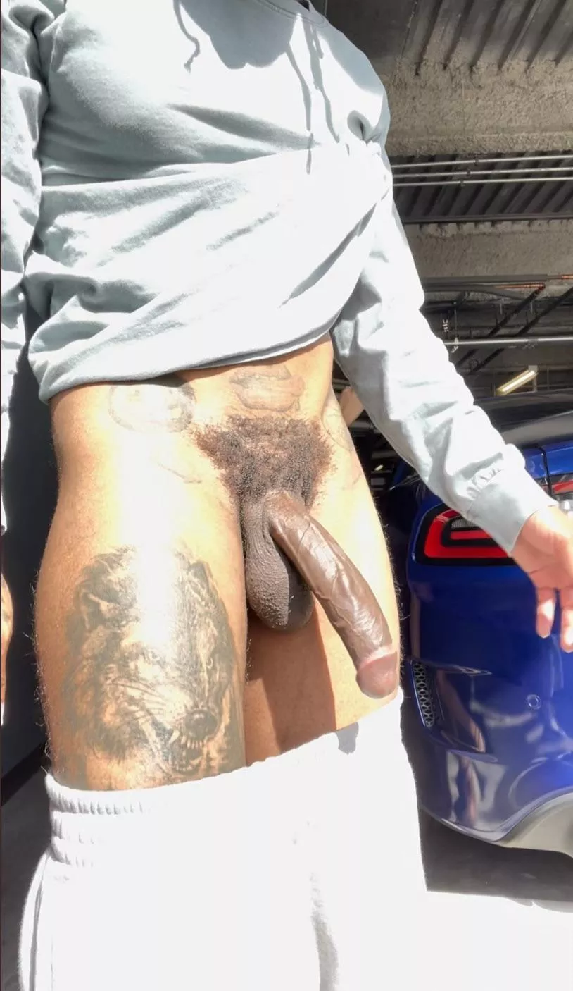 Good morning to my neighbors 🤣