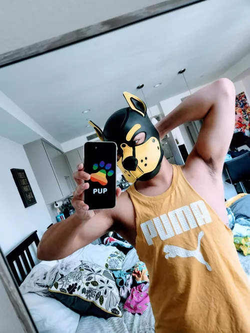 Got a new phone case! It's just the cutest pattern I could find 😁