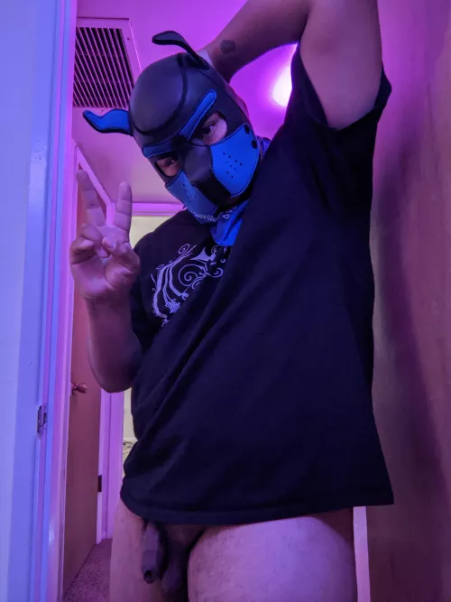 Got some new lights 🐾