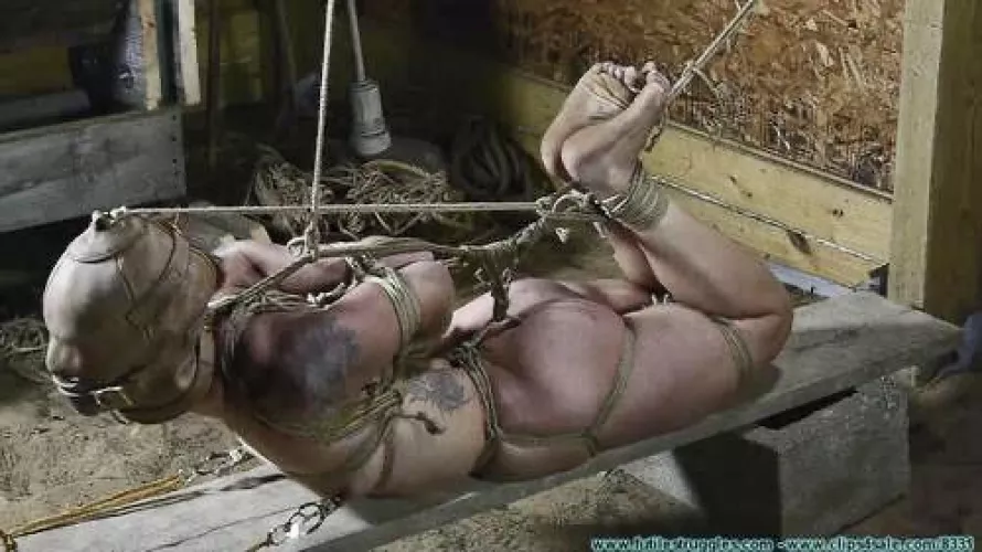 got to love them bound!