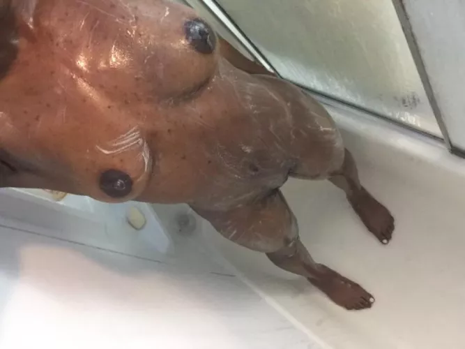 Gotta love these waterproof phones