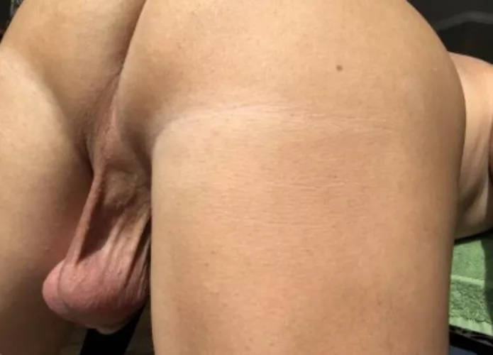 Grab the Bull by the…