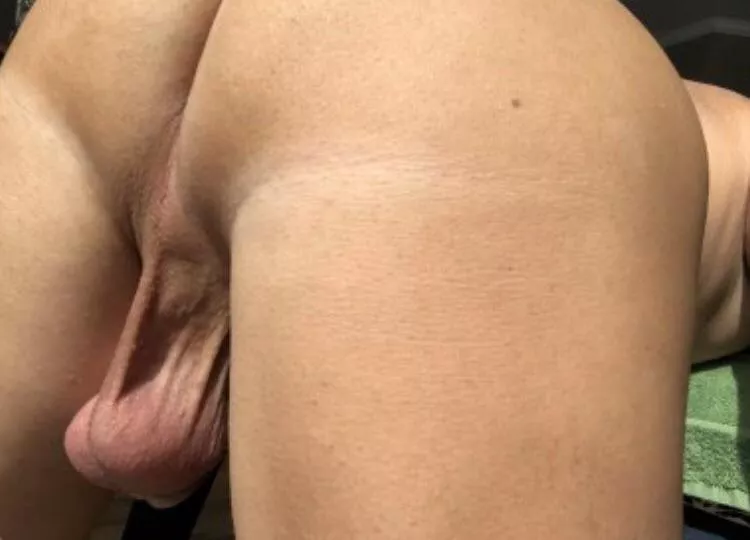 Grab the Bull by the…