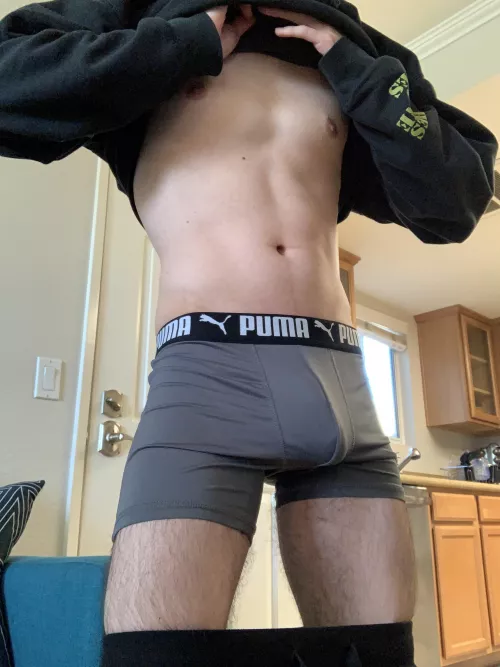 Gray bulge